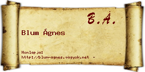 Blum Ágnes névjegykártya